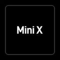 Expansión Mini X